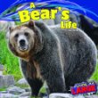 A bear's life