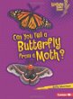 Can you tell a butterfly from a moth?