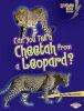Can you tell a cheetah from a leopard?