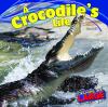 A crocodile's life