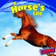 A horse's life