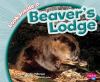 Look inside a beaver's lodge