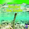 Banded sea snake