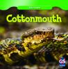 Cottonmouth