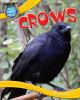 Crows