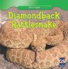 Diamondback rattlesnake