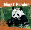 Giant pandas