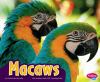 Macaws