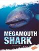 Megamouth shark