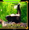 Phew! : the skunk and other stinky animals