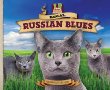 Regal Russian blues : graceful! shiny! loving! shy! intelligent! sensitive!