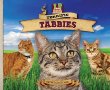 Terrific tabbies : spotted! striped! classic! ticked!