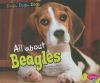 All about beagles