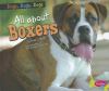 All about boxers