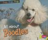 All about poodles