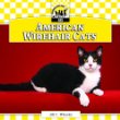 American wirehair cats