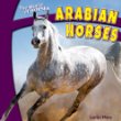 Arabian horses