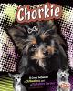 Chorkie : a cross between a Chihuahua and a Yorkshire terrier