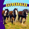 Clydesdales