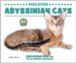 Discover Abyssinian cats