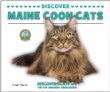 Discover Maine coon cats