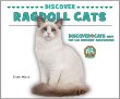 Discover ragdoll cats