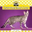 Egyptian mau cats