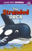 The stranded orca