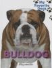 Bulldog