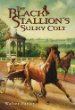 The Black Stallion's sulky colt