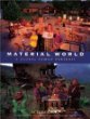 Material world : a global family portrait