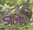 I am a sloth
