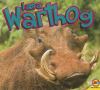 I am a warthog