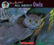 All about owls