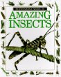 Amazing insects