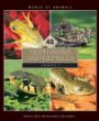 Amphibians and reptiles