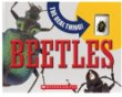 Beetles : the real thing