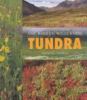 Tundra : the barren wilderness