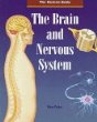 The brain and the nervous system