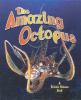 The amazing octopus