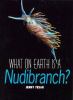 What on earth is a nudibranch?