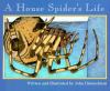A house spider's life