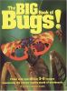 The Big Book of Bugs!.