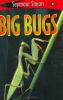 Big bugs