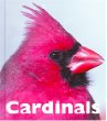 Cardinals