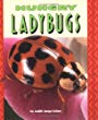Hungry ladybugs