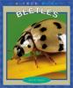 Beetles