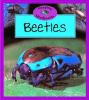 Beetles