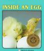 Inside an egg