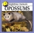 Opossums.